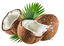 Cera de Coco Dura